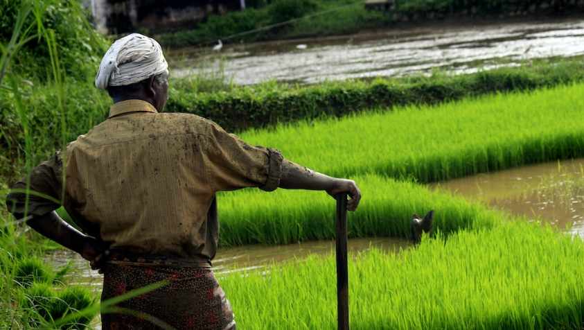 விவசாயிகளுக்கு தலா ரூ.5 லட்சம் பரிசோடு விருதும் வழங்கப்படும்... வேளாண் பட்ஜெட்டில் செம்ம அறிவிப்பு..!